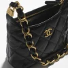 Small Hobo Bag