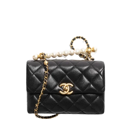 9542498648094.webp Mini Flap Bag With Top Handle