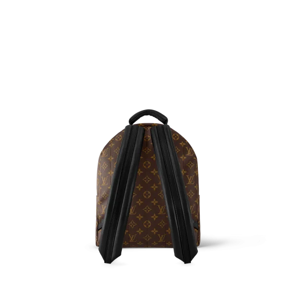 AA7D48CB-12A6-B00C-0B94-376BAE9E94E3-1e856dbd8f64.webp Louis Vuitton Palm Springs Backpack MM Monogram Canvas 28cm/11in M44874, Designer Handbags, Womens Purse, luxury bags