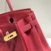 Hermes Birkin 25Cm Rouge H Togo Leather Gold Hardware