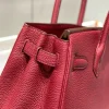 Hermes Birkin 25Cm Rouge H Togo Leather Gold Hardware