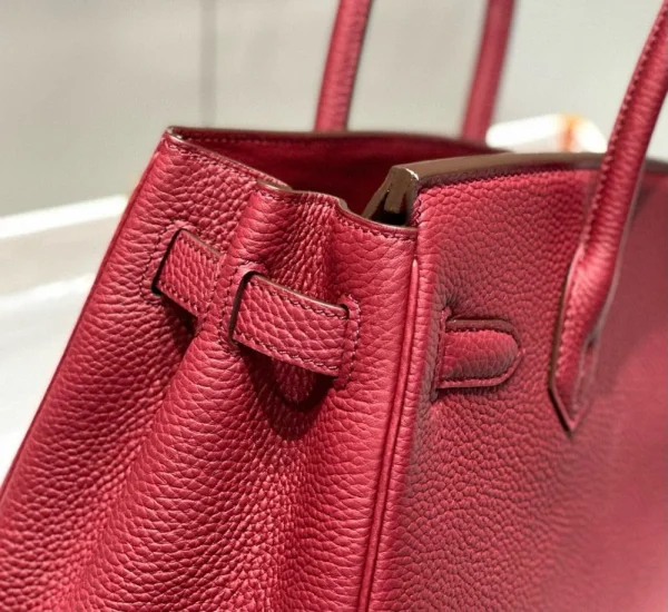 Hermes Birkin 25Cm Rouge H Togo Leather Gold Hardware