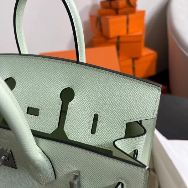 Image_20241219151958-4804d74d6e79.webp Hermes Birkin 25Cm Vert Fizz Togo Leather Silver Hardware