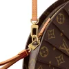 Louis Vuitton LV Fan Crossbody Bag M14804 Brown, Women’s Handbag 37cm/ 14.6in, Designer Handbags, Womens Purse, luxury bags
