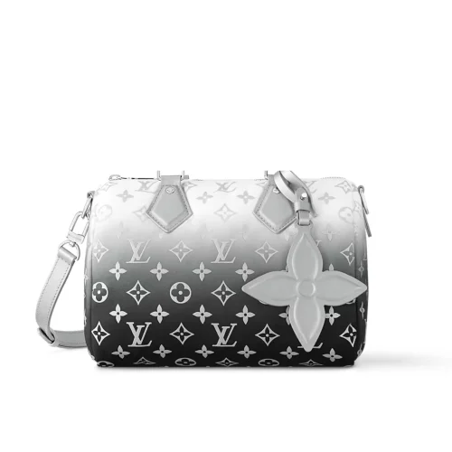 Louis Vuitton Speedy Bandouliere 25 Frost Gardiant Silver 25cm M11848, Designer Handbags, Womens Purse, luxury bags