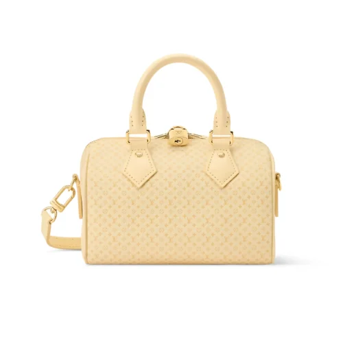 Louis Vuitton Speedy Bandoulière 20 Bag M29494