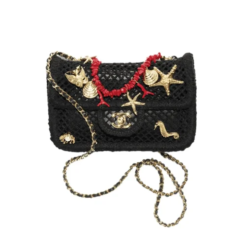 SUPERCLONE-2026-08-14T152933.664-c44b416b722c.webp Chanel Small Flap Bag Mesh, Charms & Gold-Tone Metal 21cm/8.3in Black AS6156