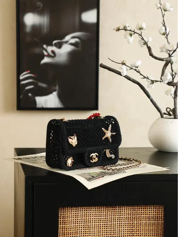 WhatsApp-Image-2026-07-16-at-10.59.37-5-1-93961289bf09.webp Chanel Small Flap Bag Mesh, Charms & Gold-Tone Metal 21cm/8.3in Black AS6156