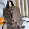 bbe31ccdffcc7535576039fe7aa11593-0eceed6734a0.webp Louis Vuitton Palm Springs Backpack Mini Monogram Canvas 17cm/6.7in, Designer Handbags, Womens Purse, luxury bags