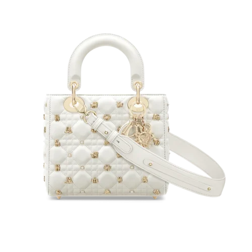 compose-3.webp Small Lady Dior My ABCDior Bag