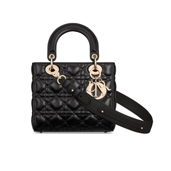 Small Lady Dior My ABCDior Bag