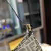 fdb05-524369254d81.webp Fendi Zucca Handbag Brown 24Cm