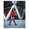 Gucci Dionysus GG Supreme Mini Bag Red 20cm