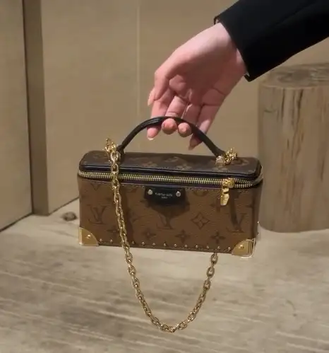 image-62-cb485b34d05e.webp Louis Vuitton Vanity Pouch Trunk 20cm M29548