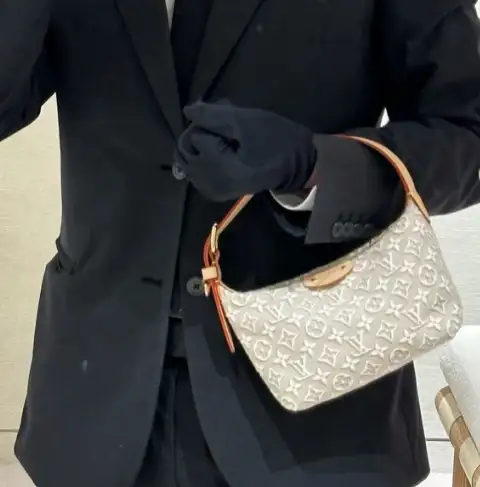 image-90-575301ee1f8e.webp Louis Vuitton Pochette Hills Monogram Emblème Pattern In Peuplier Color 18.5cm M29879
