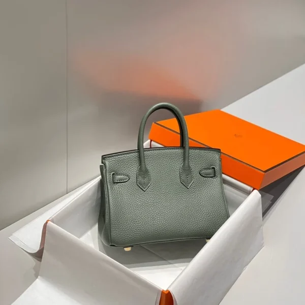 img_43e90bff_20240903_i1725366737_4257_6_jpg-241b3f1a376b.webp Hermes Birkin 20Cm Vert Amande Togo Leather Gold Hardware
