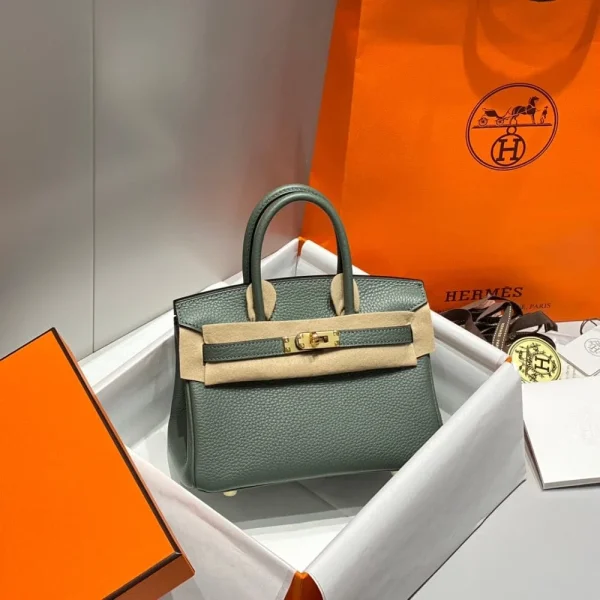 img_43e90bff_20240903_i1725366737_8483_7_jpg-37a08570d26d.webp Hermes Birkin 20Cm Vert Amande Togo Leather Gold Hardware