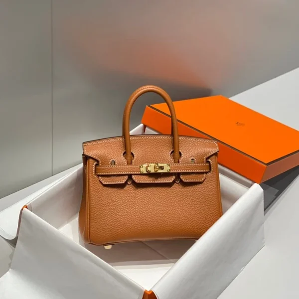 img_b17e98d7_20240902_i1725274460_3058_0_jpg-cf398e3392e6.webp Hermes Birkin 20Cm Gold Togo Leather Gold Hardware