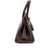 Havane Matte Niloticus Crocodile Birkin 30