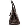 Havane Matte Niloticus Crocodile Birkin 30