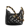 Small Hobo Bag